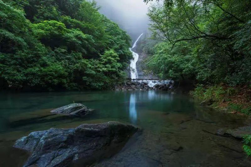 拿破仑：全面战争